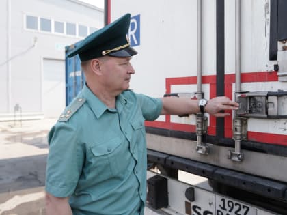 МинАПК: новыми статьями экспорта Свердловской области стали зерновые и говядина