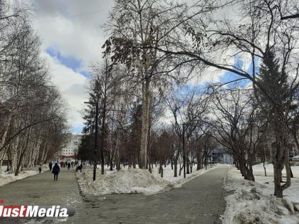 Наслаждаемся щебетом весенних птиц. В Екатеринбурге +1,+3, переменная облачность