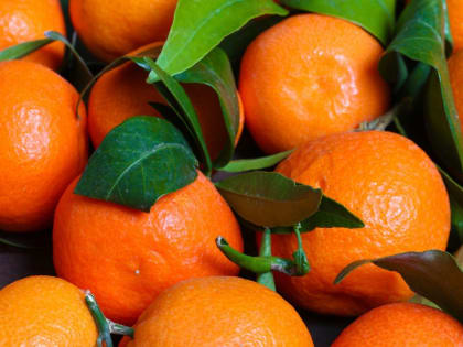 Диетолог рассказала, кому запрещено есть мандарины