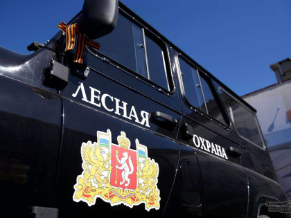 Противопожарные рейды пройдут в лесах Свердловской области в выходные