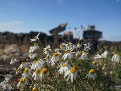 Рекультивация полигона ТКО на Широкой речке подходит к концу