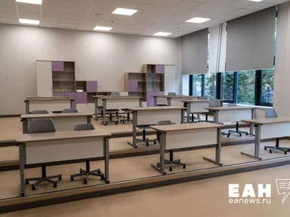 В Екатеринбурге школьников вновь отправляют на карантин из-за пневмонии