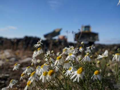 Три муниципалитета Екатеринбургской агломерации получат новый мусорный полигон
