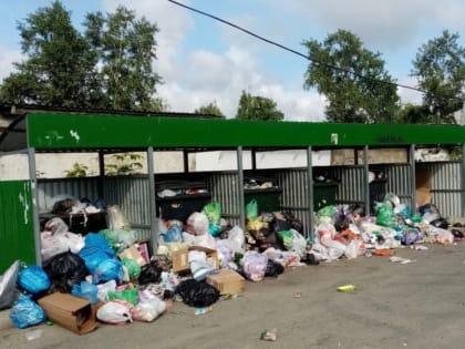 С директора регоператора «ТБО «Экосервис» пытаются взыскать более 60 млн рублей