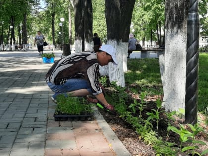 Кто следит за порядком в артемовском сквере Победы