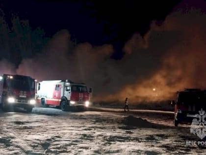 Пожарным удалось потушить огонь на свалке за «Сима-Лендом» в Екатеринбурге
