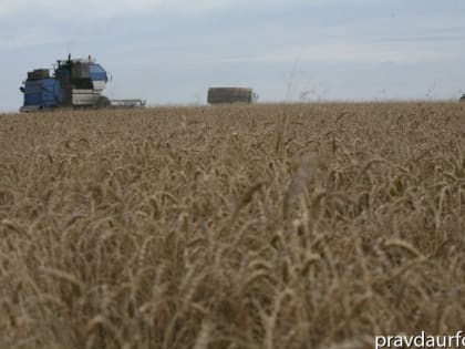 УрФО ждет скачков цен на сельхозпродукцию. Глава Челябинской области переложил решение проблем аграриев на продавцов ГСМ