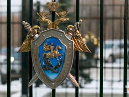 По делу об убийстве ребенка в Екатеринбурге задержана глава секты