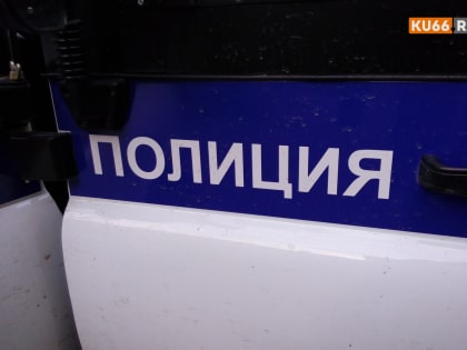 Подруги поссорились: в подмосковном лицее девочка напала на 11-летнюю одноклассницу с кухонным ножом