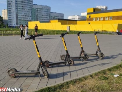 Бастрыкин поддержал идею о запрете использования электросамокатов на улицах городов