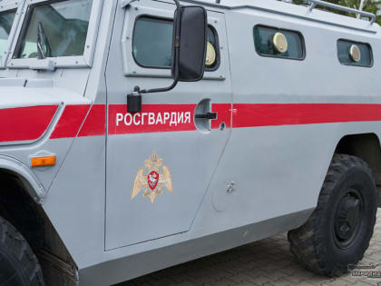 В Екатеринбурге заметили колонну Росгвардии и военных