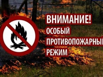 Особый противопожарный режим продлен на Среднем Урале до 6 июля