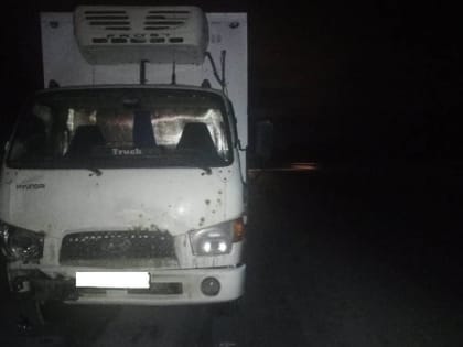 На трассе под Екатеринбургом грузовик сбил пешехода-невидимку