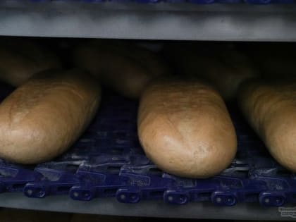 Мэрия судится с владельцем «Тагилхлеба» из-за многотысячного долга