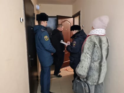 В рамках профилактических операций "Новый год", "Отопление"