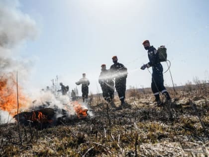 В Свердловской области на тушении лесных пожаров задействованы более 600 огнеборцев