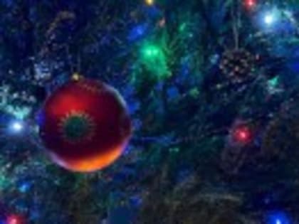 Расписание движения берёзовских автобусов в новогодние праздники