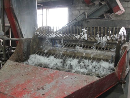 Успешные предприниматели – лучшая мотивация для молодежи заняться бизнесом