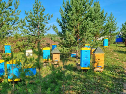 Свердловские фермеры получат 25 млн рублей на развитие агротуризма