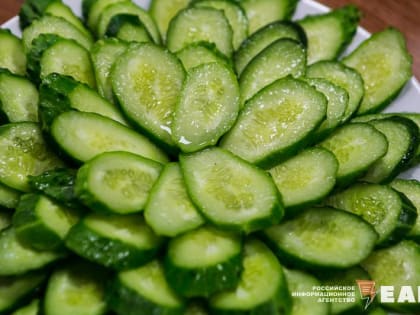 Более 500 детей с ожирением из Екатеринбурга смогли похудеть с помощью «Азбуки здоровья»