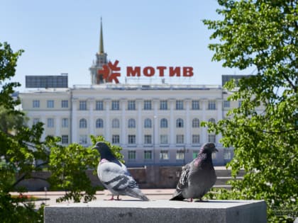 Сотовый оператор «Мотив» повысил цены на связь в Екатеринбурге