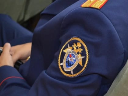 Глава СКР начал проверку случая с маленьким пациентом из Верхней Пышмы