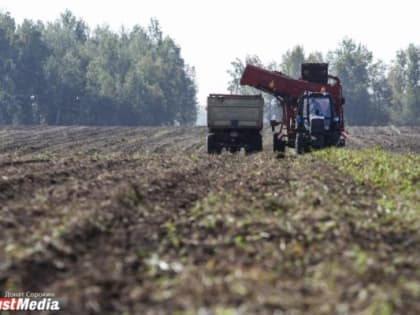 Евгений Куйвашев запустил процесс возврата в оборот более 7,5 гектаров неиспользуемых сельхозземель