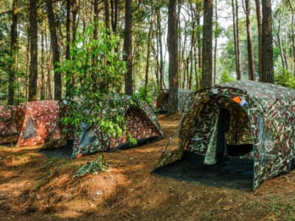 Свердловская область получит еще 87,7 млн рублей на строительство глэмпингов