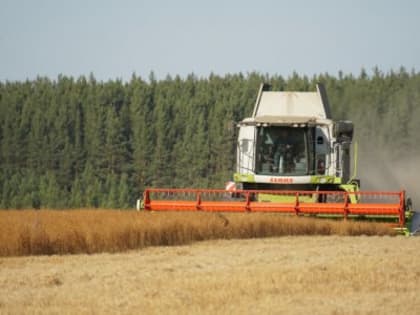 Правительство Свердловской области нацелило аграрный сектор региона на обеспечение сохранности урожая