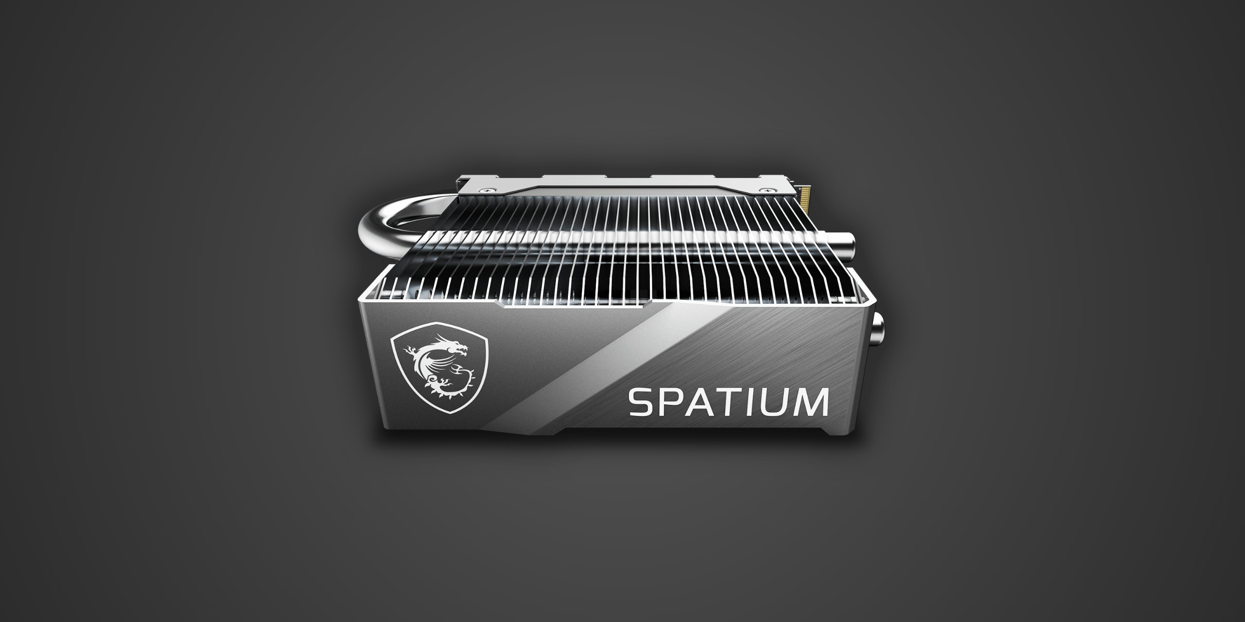 MSI SPATIUM M570 PRO FROZR