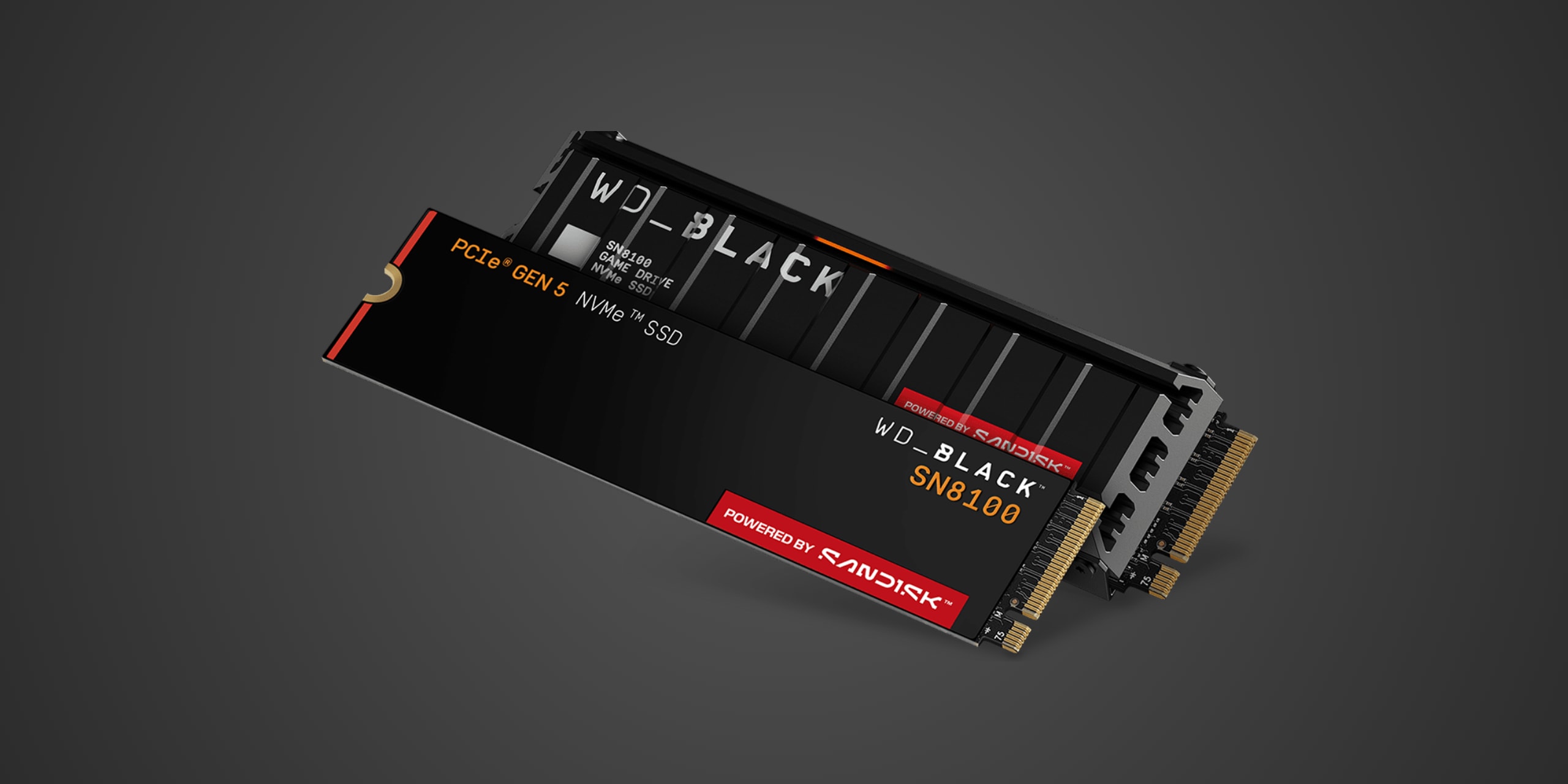 SanDisk WD_BLACK SN8100 — PCIe 5.0 SSD