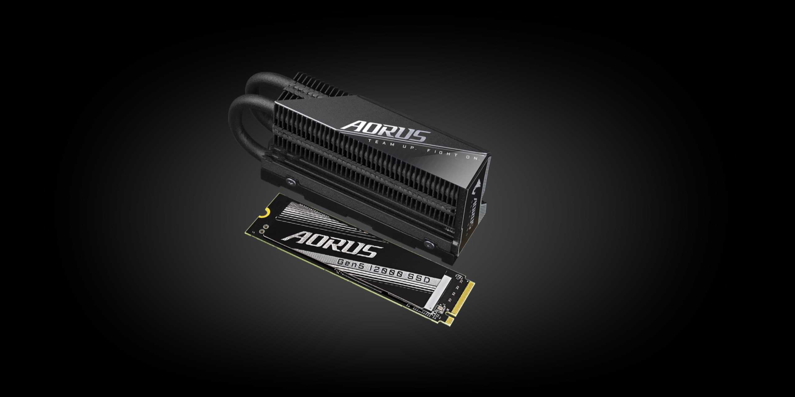 Product image for: GIGABYTE AORUS 12000