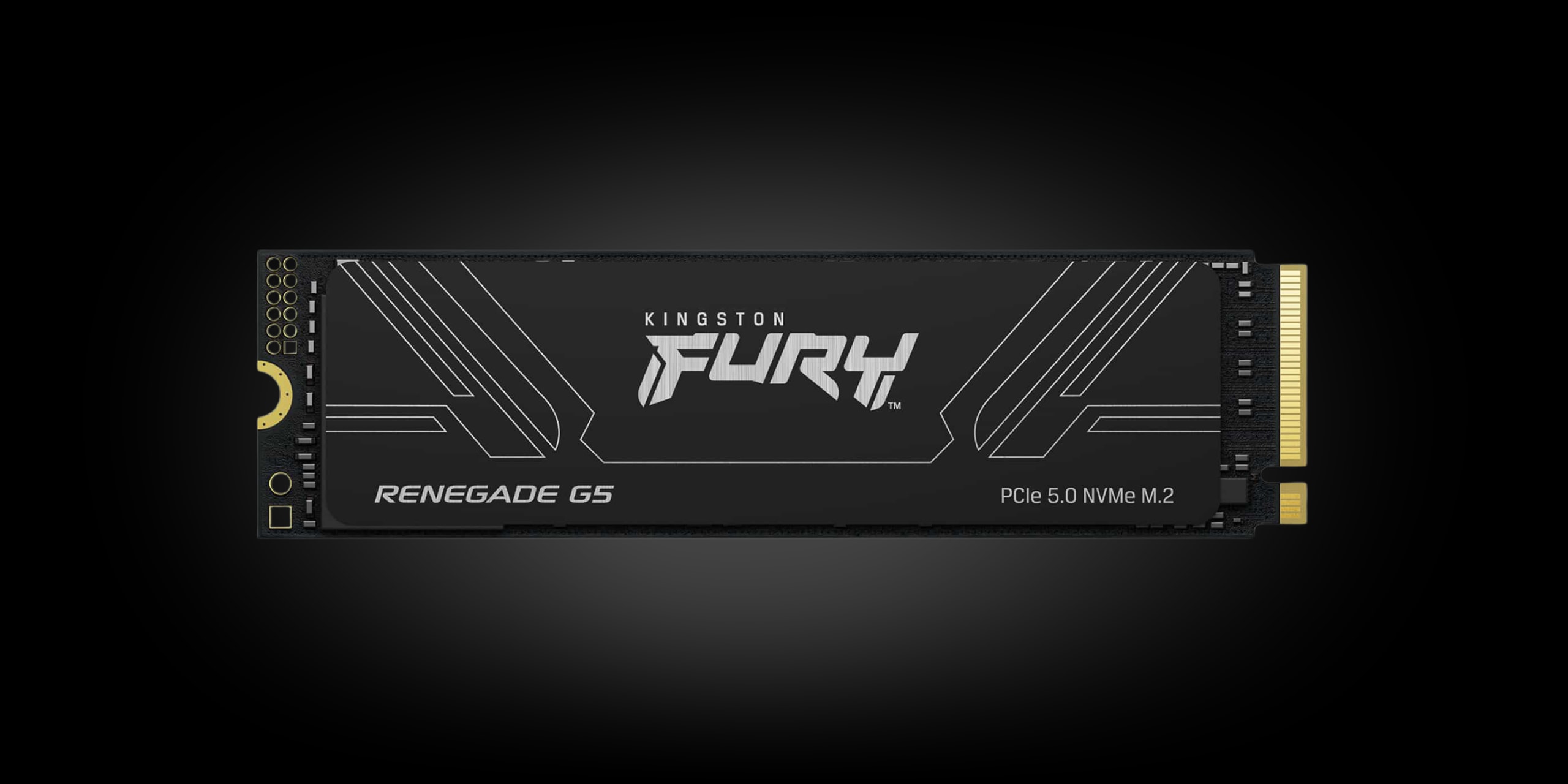 Product image for: Kingston FURY Renegade G5