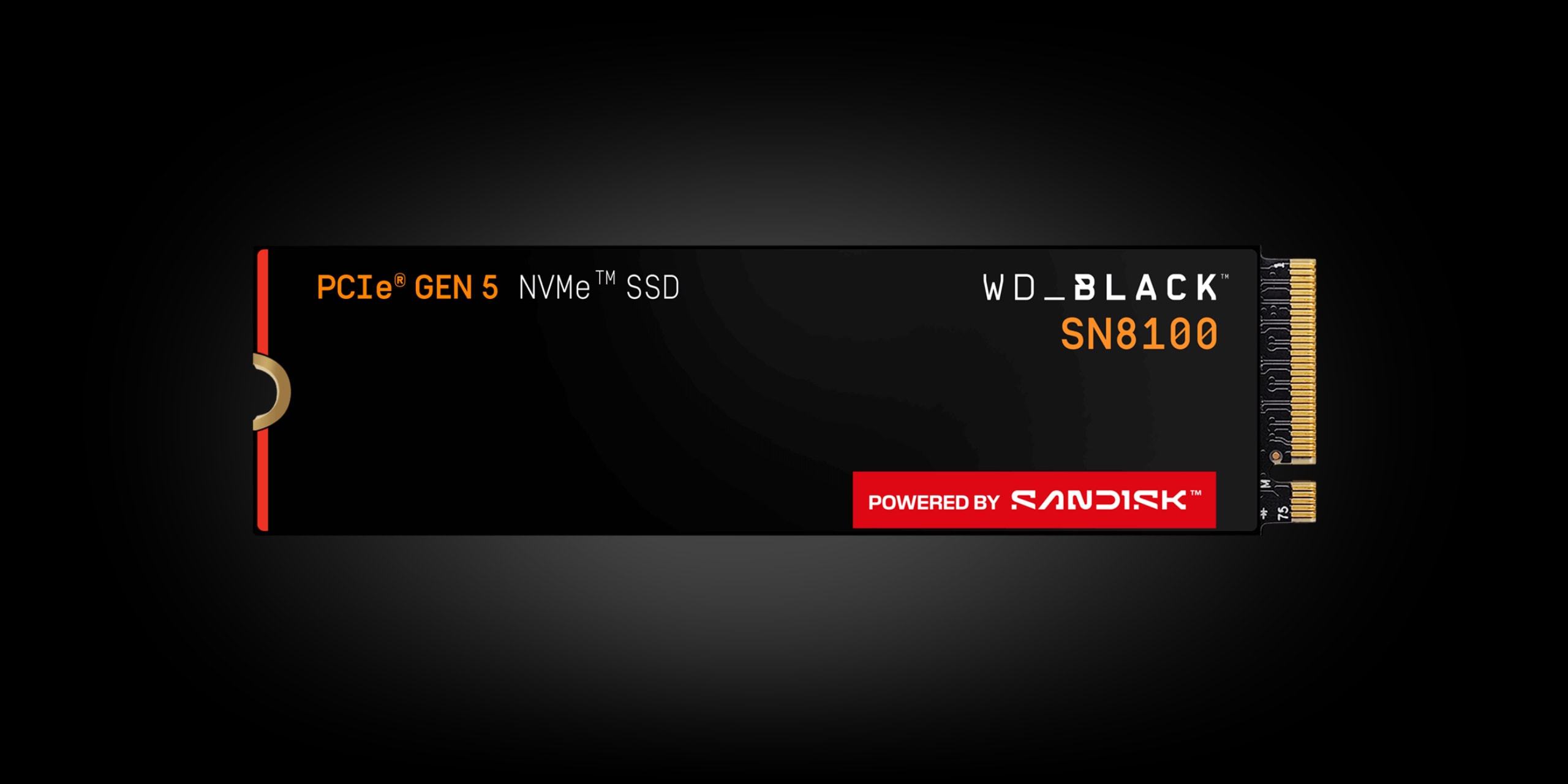 Product image for: SanDisk WD_BLACK SN8100