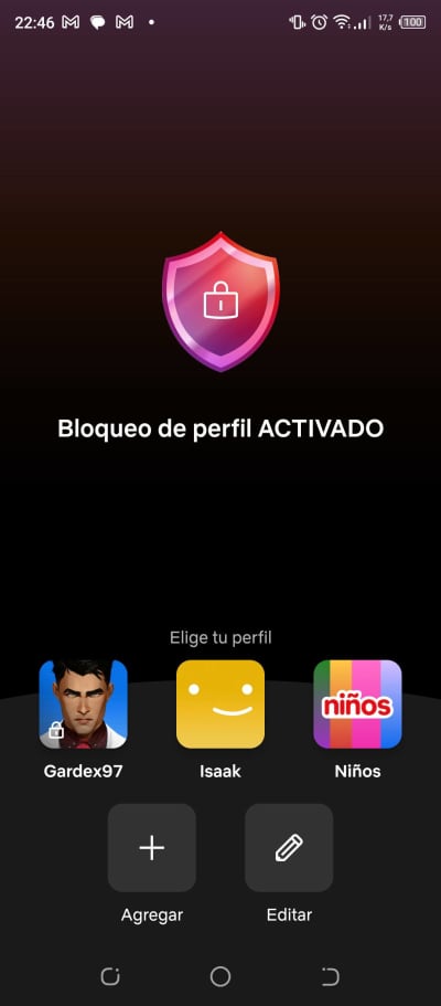 Perfil Netflix (Cuenta propia)