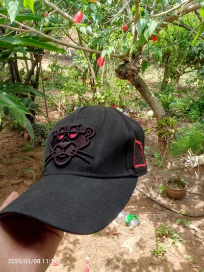 Gorra