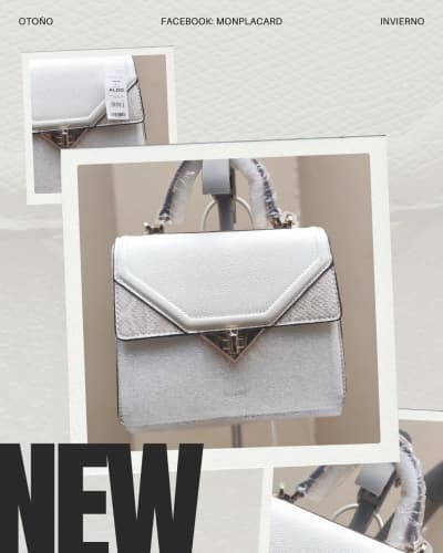 Cartera Aldo