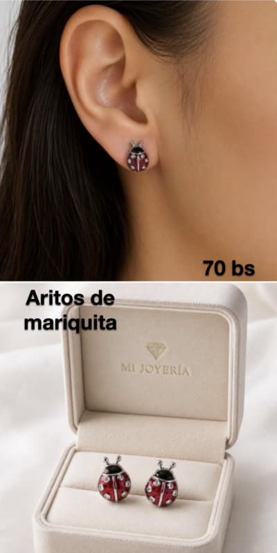 Hermosos Aretes