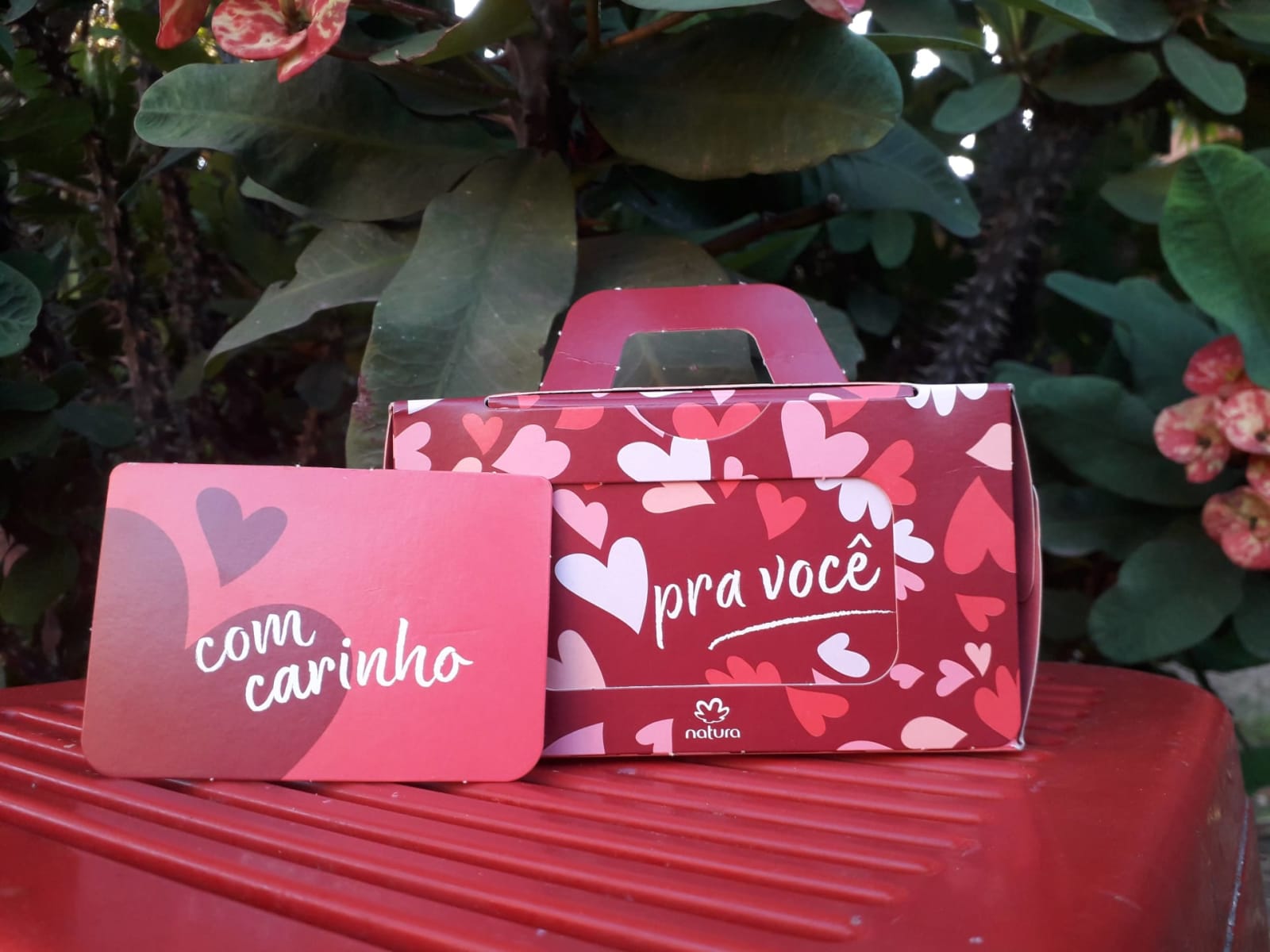 Set de Regalo Natura Edición Especial