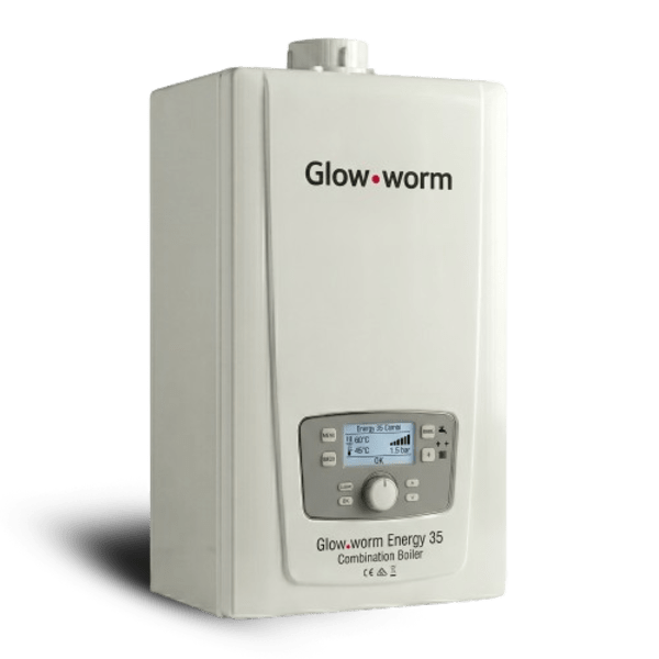 Glow-worm