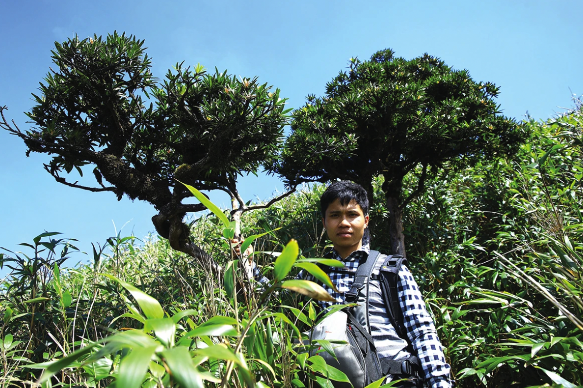 Ch&agrave;ng trai V&acirc;n Kiều Hồ Giỏi b&ecirc;n gốc c&acirc;y T&ugrave;ng La H&aacute;n tr&ecirc;n đường l&ecirc;n đỉnh Voi Mẹp - Ảnh: T.L