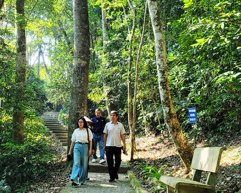 Đường v&agrave;o rừng Trần Hưng Đạo.