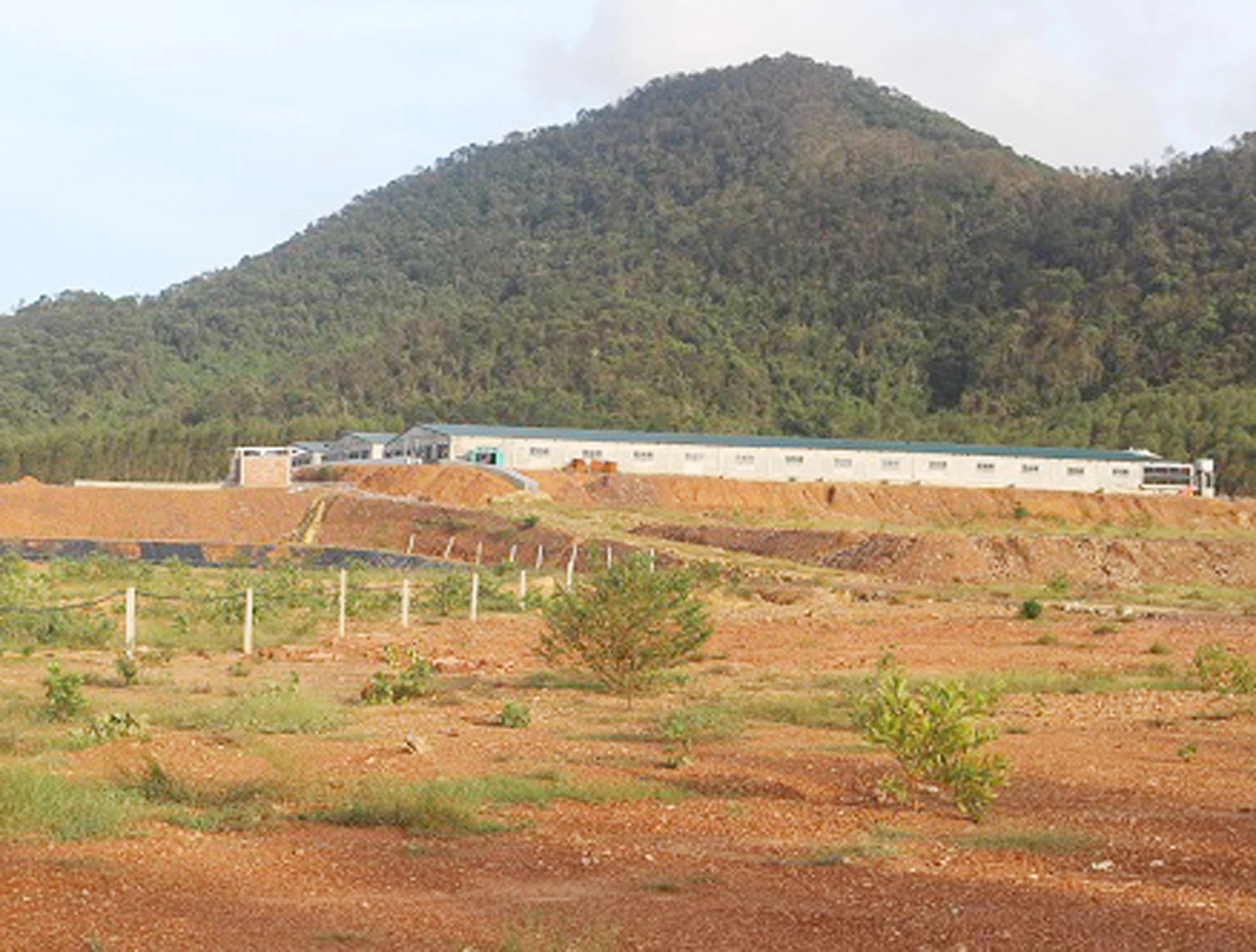 Trang trại chăn nuôi lợn của Công ty TNHH Chăn nuôi Bình Chi Nam Hưng bị Sở NNMT yêu cầu dừng ngay các hoạt động nuôi lợn.