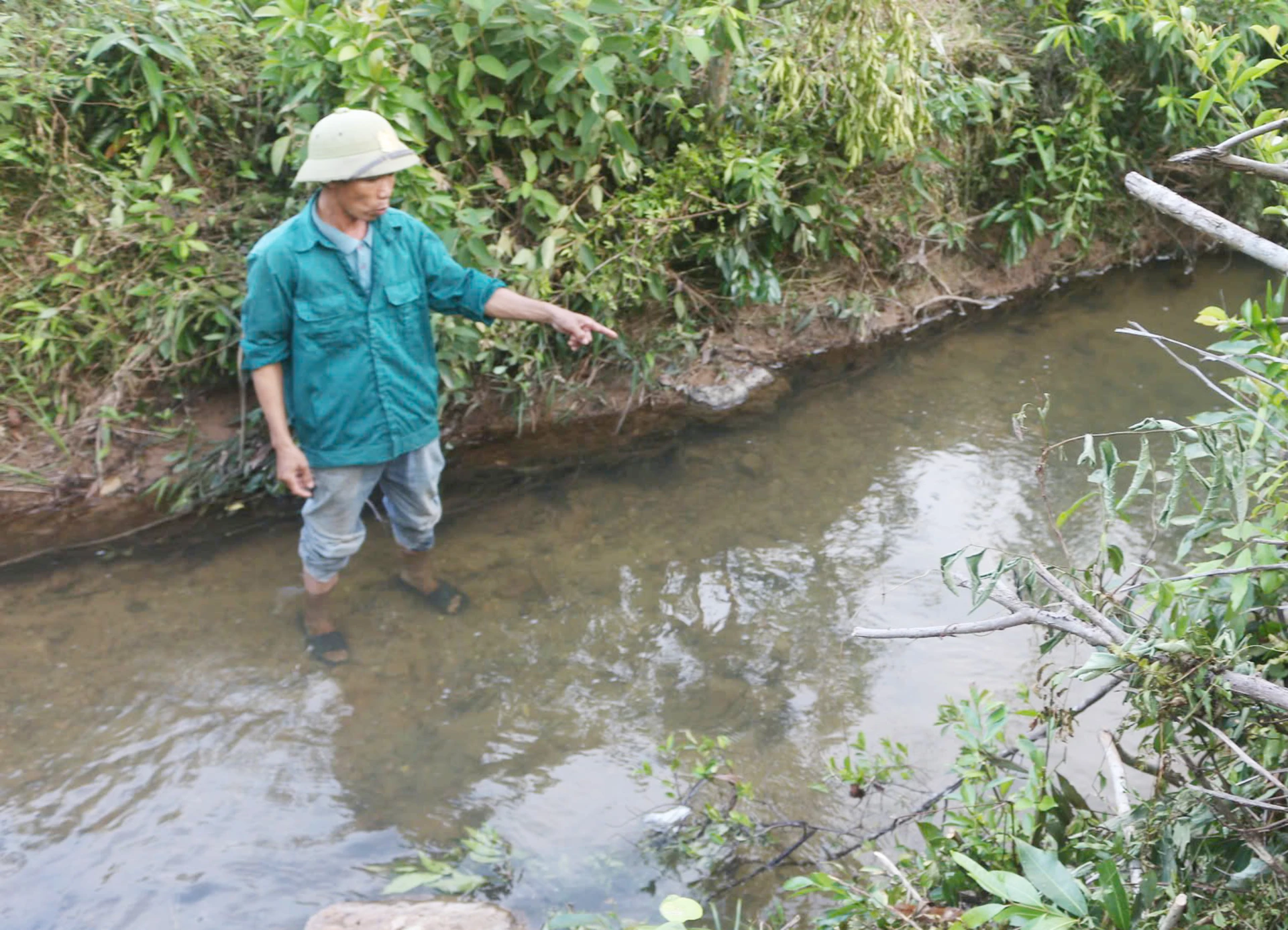 Người dân phản ánh Trang trại chăn nuôi lợn của Công ty TNHH Chăn nuôi Bình Chi Nam Hưng xả thải gây ô nhiêm môi trường nguồn nước.