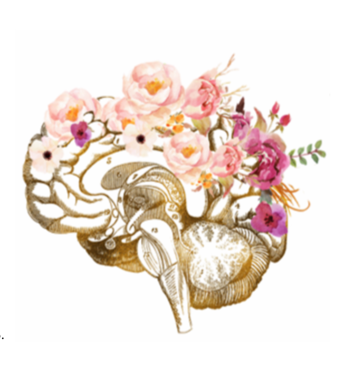 Grow Neuropsychology