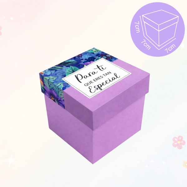 Caja Tapa Mini