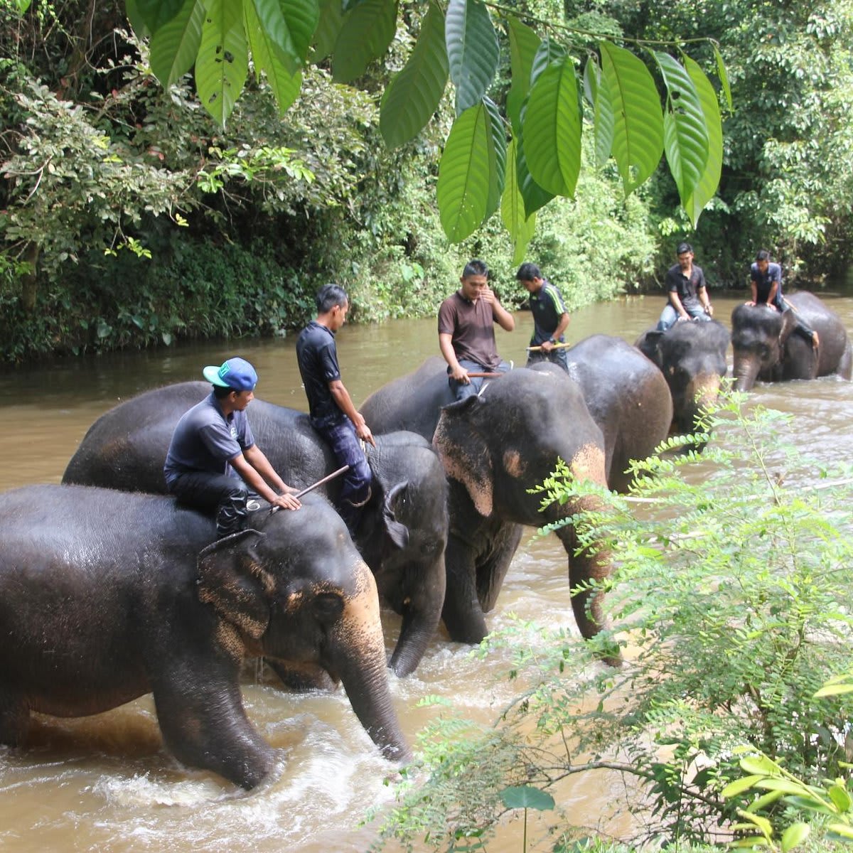 Northern Thailand: Chiang Mai & Chiang Rai 4