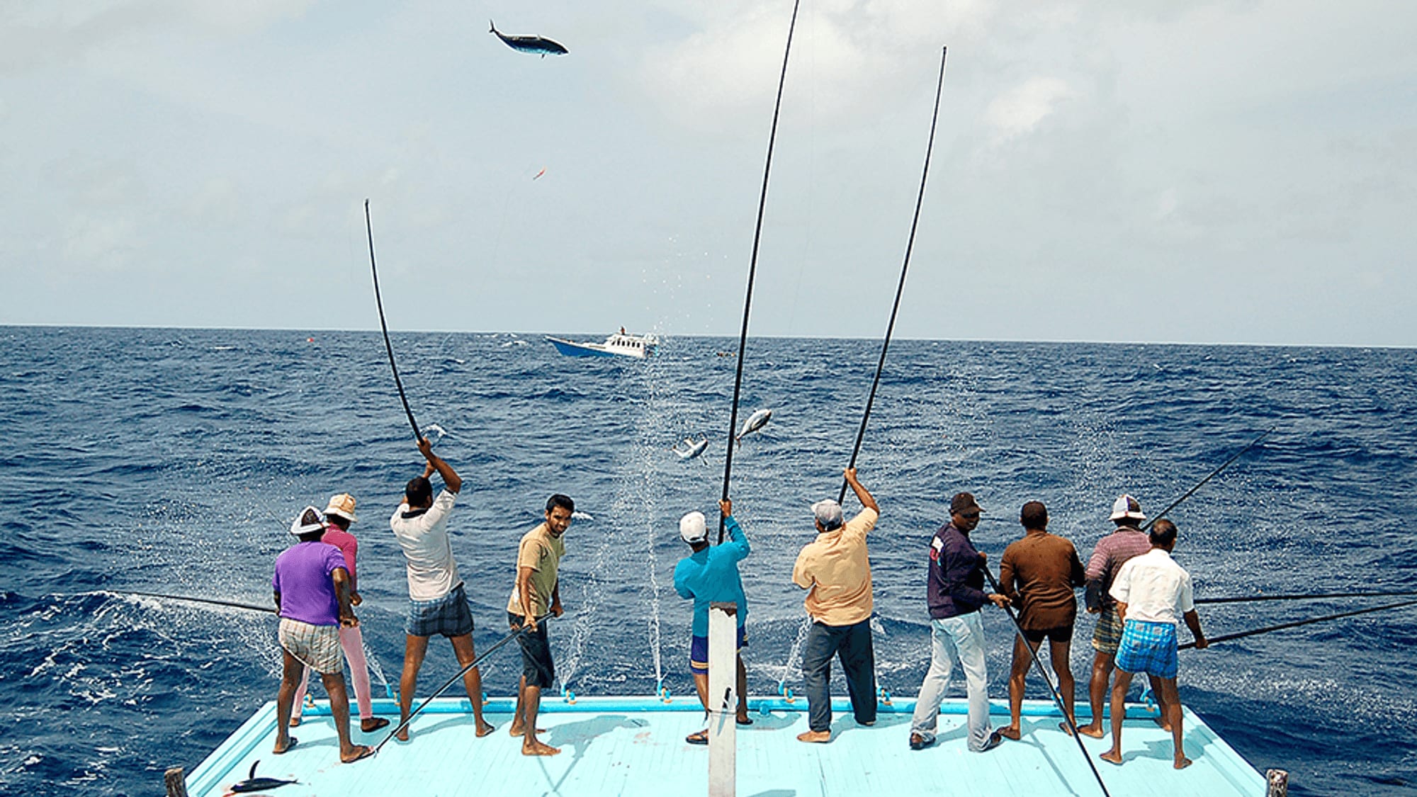 Local Island Experience: Authentic Maldives 2