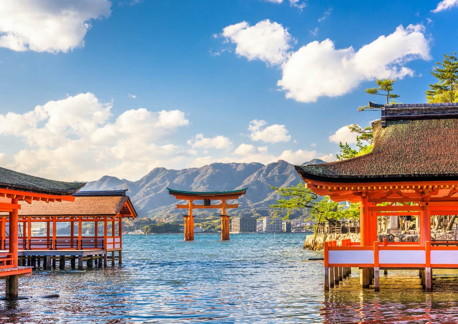 Japan Heritage Trail: Kyoto, Nara & Hiroshima 4
