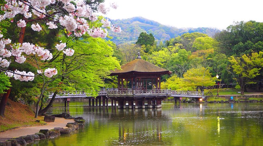 Japan Heritage Trail: Kyoto, Nara & Hiroshima 3